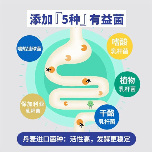 LIFE ELEMENT máquina de natto doméstica inteligente completamente automática puede hacer yogur con revestimiento cerámico pequeña tecnología japonesa máquina de fermentación profesional bacterias de yogur 20 paquetes