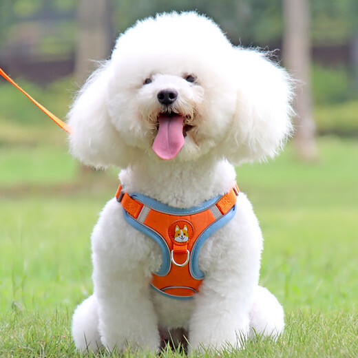 Vieruodis vest-style dog leash medium-sized dog anti-breaking traction vest out walking dog chain universal cat red + 1.5m rope M-medium size