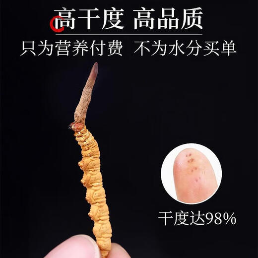 色季拉 冬虫夏草新干虫草滋补送礼佳品礼盒装 3根/g【10克装】