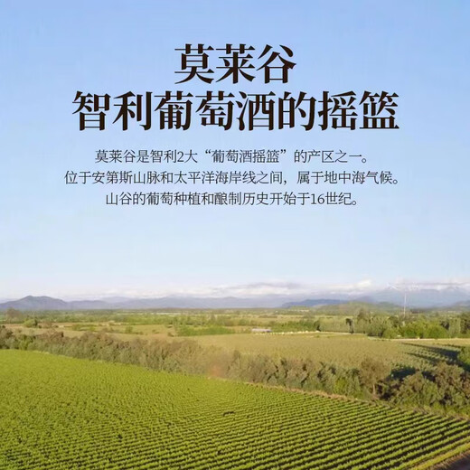 Concha y Toro干露红魔鬼魔神红混酿干红葡萄酒750ml*6瓶整箱 智利进口红酒送礼
