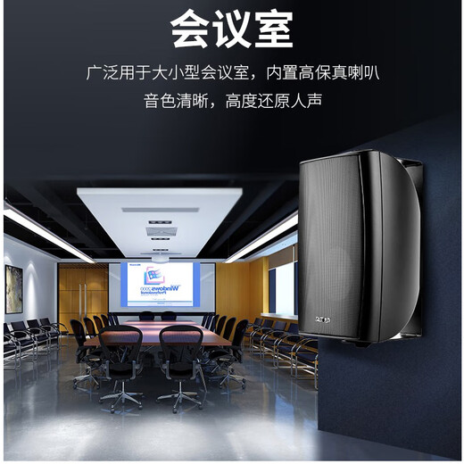 先科（SAST）DW50壁挂音箱喇叭 50W无源需连功放机音响店铺商用工程会议室家用餐厅公共广播背景音乐 5英寸