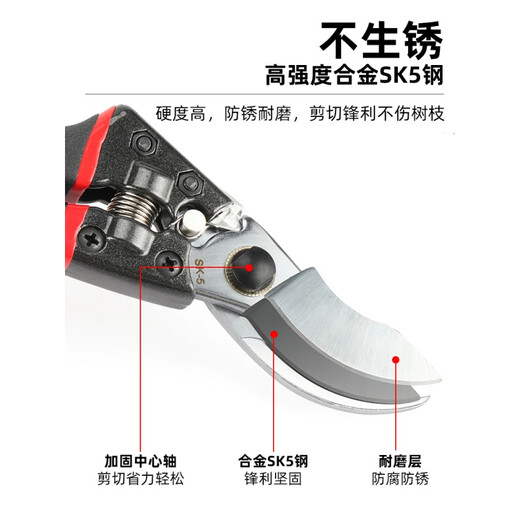 莎庭 SARTILL不锈钢园林剪刀粗枝剪果树剪树枝剪修枝修花园艺小剪刀多功能 14116修枝剪+14116摘果剪