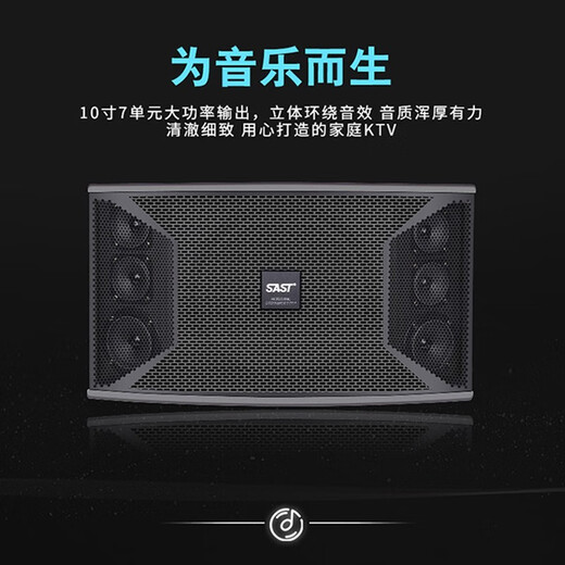 先科家庭ktv音响套装点歌机卡拉ok点唱一体机全套会议室家用家庭影院K歌全套电视客厅专业唱歌组合音箱 10寸14单元音响+功放+充电话筒