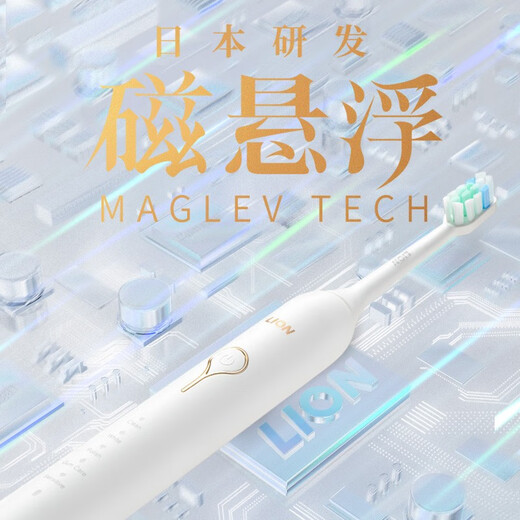 Lion SMARTKEY Sonic Vibration Electric Toothbrush Waterproof Rechargeable Couple 1 Body + 2 Brush Heads Magnetic Levitation Electric Toothbrush 1 Extremely Black