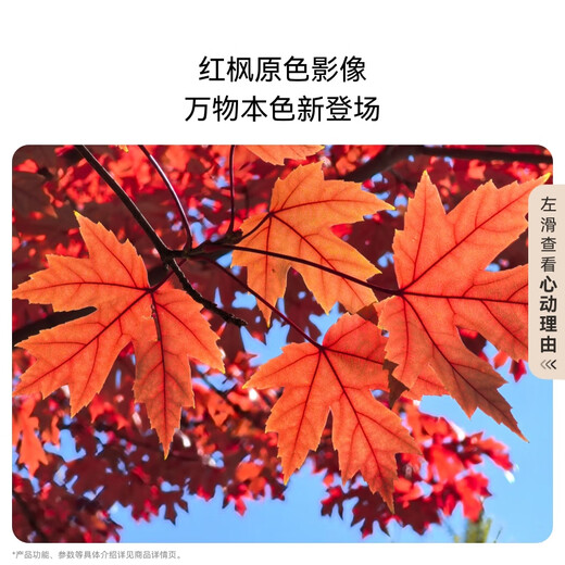 Huawei [National Subvention] Mate 70 Huawei Mobil Red Maple Originalfarbe Image Super zuverlässig Xuanwu Architektur Huawei Hongmeng Smartphone [Spot Release am selben Tag] Obsidian Black 12 GB+512GB Full Network Official Standard