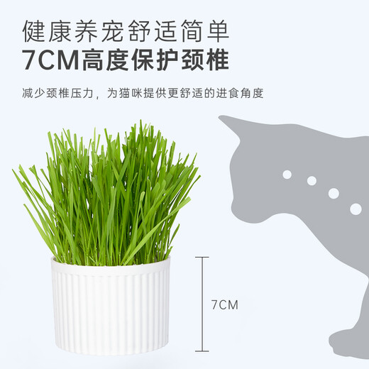 Huanpet.com cat grass potted seed set, lazy canned hydroponic soil culture, cat snacks, cat hair balls, catnip