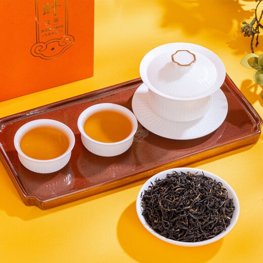 海堤 SEA DYKE海堤茶叶山河玉叶工夫红茶礼盒装CTA6621中小叶高香送礼 240g 48泡