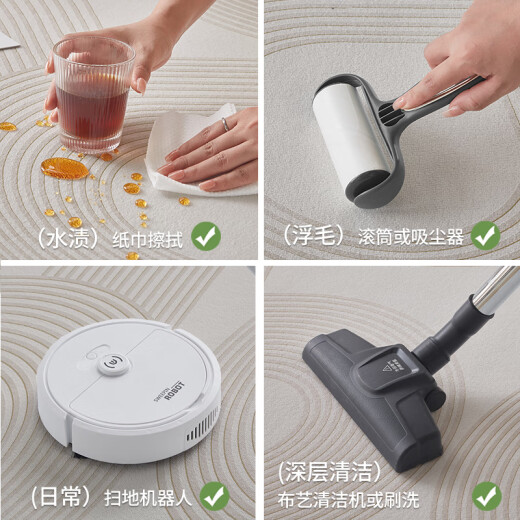 布迪思地毯卧室大面积满铺家用客厅毯沙发茶几轻奢防滑毯简约可定制地毯 现代6210【加厚圈绒】 240*400CM【属于定制不退换】
