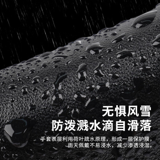 Cardile crocodile leather gloves for men in autumn and winter thickened cold-proof and warm driving and riding skiing wool-lined sheepskin gloves for men