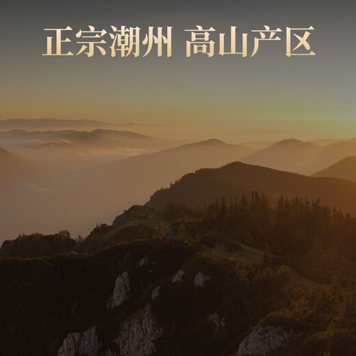 传奇会乌龙茶 凤凰单枞鸭屎香特级250g 罐装乌岽单丛茶叶自己喝送礼