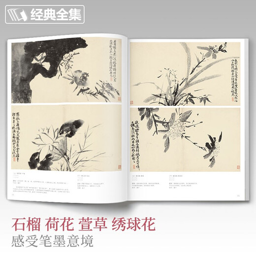Complete collection of classics, Xu Wei's painting collection, 8-page Chinese painting copy album, freehand splash-ink ink Chinese painting miscellaneous flower and bird painting techniques textbook, Cheng Qingdao's copy of this album, beginner's appreciation of flower masterpieces, editor-in-chief Yang Jianfei