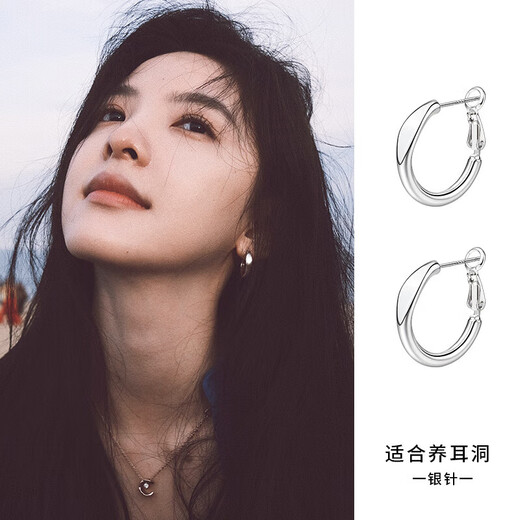 Idel hoop earrings for women 2025 new high-end earrings light luxury niche earrings birthday gift E3487 earrings