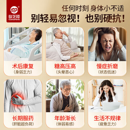 仙芝楼【加量升级】牌孢子灵芝提取物胶囊礼盒装破壁灵芝孢子粉 1kg 13盒 60袋 年套餐粉