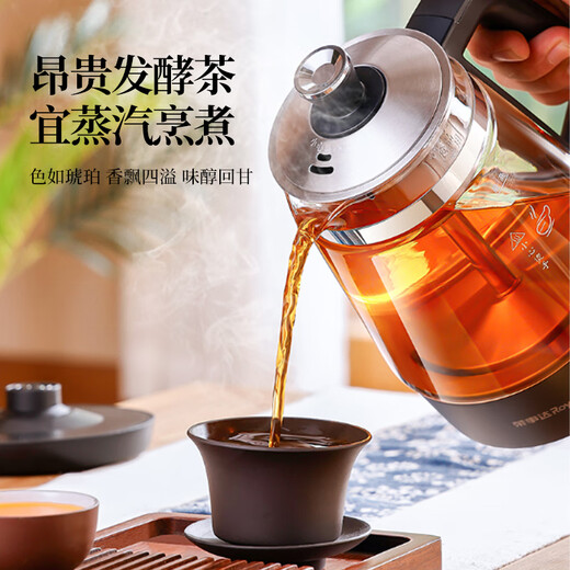 Royalstar tea kettle health kettle spray type tea kettle kettle electric kettle steaming tea kettle tea steaming kettle tea kettle around the stove to make tea 1L three-speed knob model + filter