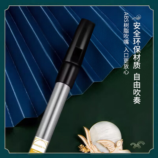 Romusic whistle Irish D key six-hole recorder beginners entry door flute adult student professional playing instrument silver