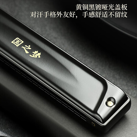 
Guoguang 24-hole polyphonic harmonica #A/B/C/D/E/F/G tune German imported gong adult professional performance level 24-hole #D tune = E-flat tune performance level - polyphonic