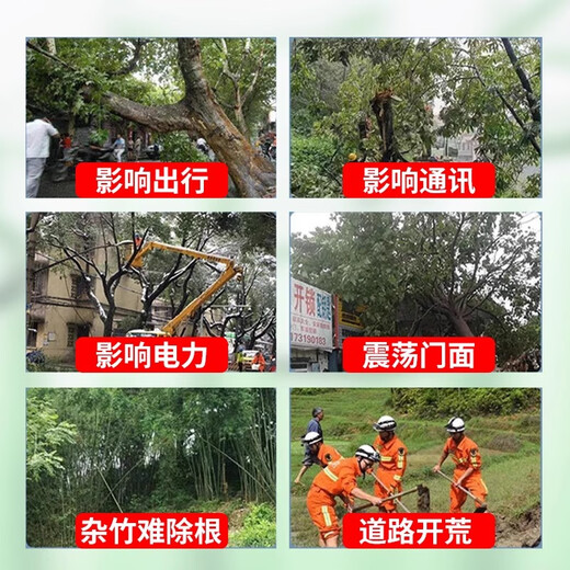 One-seven hoe 25% cyclazinone herbicide, rotten root and weed killing, killing large trees, bamboo shrubs, special aqueous pesticide 200g