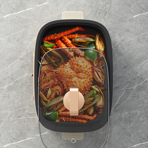 DuPont (DUPONT) multi-function electric baking pan PKG-KY1201 white