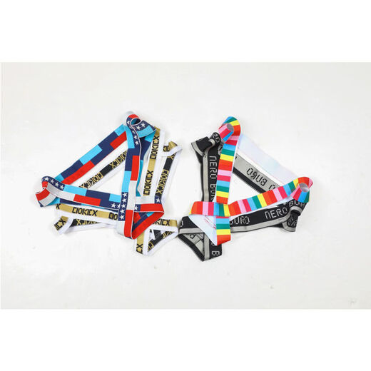 Herrenunterwäsche pervertierte Männer mit niedriger Taille sexy Doppel -Tanga -Persönlichkeit Leidenschaft leerer Ring Sexy Brief Trend t Regenbogen Farbe m