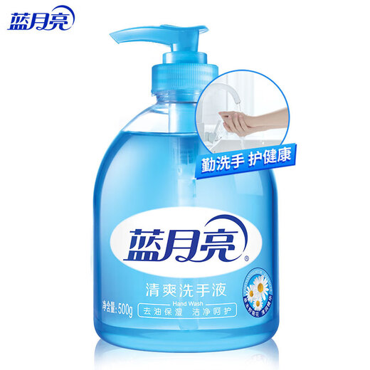 Rich Foam Wild Chrysanthemum Hand Sanitizer 500g Bottle*2+ Wild Chrysanthemum Hand Sanitizer 500g Bottle Refill