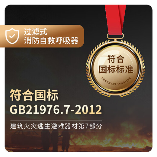 Top-quality classic upgraded gas mask, filtered fire self-rescue respirator, fire and smoke escape mask, escape mask TZL30