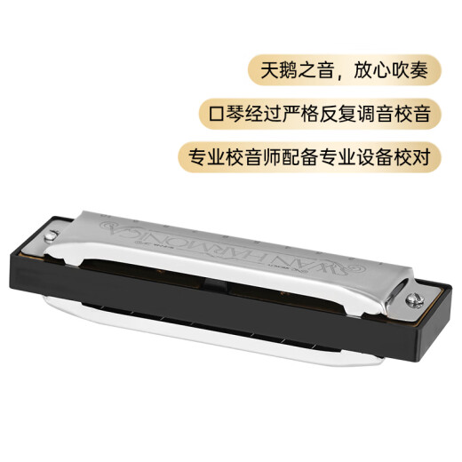 天鹅（SWAN） 10孔布鲁斯口琴升级款银色C调