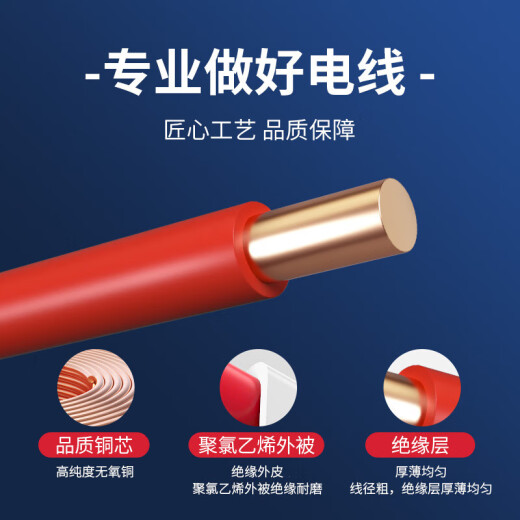 Chint (CHNT) wire and cable copper core household wire national standard power cord BV2.5/4/6 square single-strand copper wire 50 meters