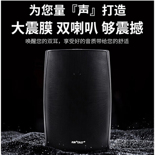 先科（SAST）DW40壁挂式音响音箱喇叭 40W无源需连功放机店铺商用工程会议室家用餐厅公共广播背景音乐 4英寸	