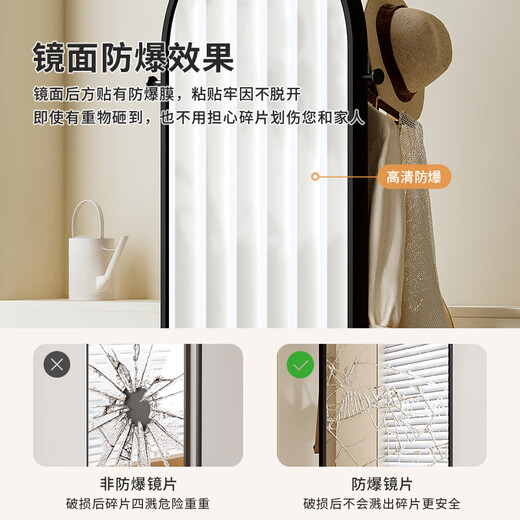 航轩世家轻奢穿衣镜子家用旋转全身镜可移动落地式卧室挂衣帽架一体小户型 【轻奢黑】-铁艺框架+皮革篮筐