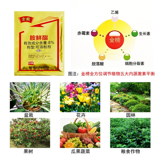 Senhuo Jinbang Zheng's Chemical 8% Aminobutanol Garden Green Plant Resistance, Stress and Disease Resistance, Vegetable Expansion, Coloring, Increase Yield, Cold Resistance, Promote Cell Division, Preserve Flowers and Fruits, Growth Regulator 50g/bag*10 bags