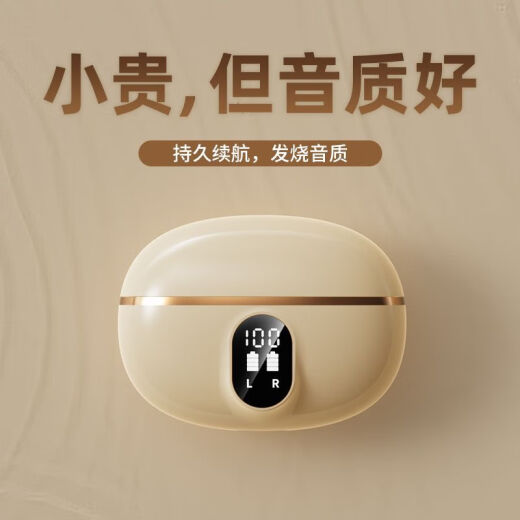 娱品【柏林之声丨顶配版】2024新款无线蓝牙耳机半入耳式降噪高音质超长续航适用苹果oppo华为vivo荣耀 亲肤色【HiFi立体音+超长续航】