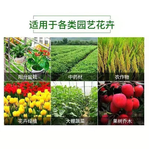 Compound fertilizer urea phosphate fertilizer potassium fertilizer flower fertilizer flower potted vegetables and fruit tree fertilizer universal nitrogen, phosphorus and potassium general upgraded formula compound fertilizer 10Jin Jin equal to 0.5kg
