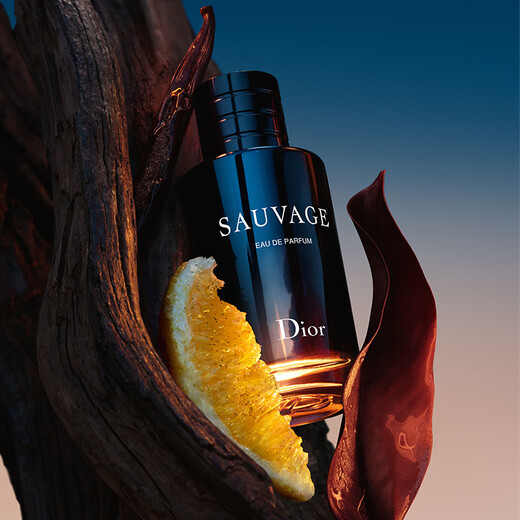 Dior DIOR Wilderness Perfume 60ml Men's Fragrance Woody Fragrance Fragrance Gift Box Birthday Gift for Boyfriend