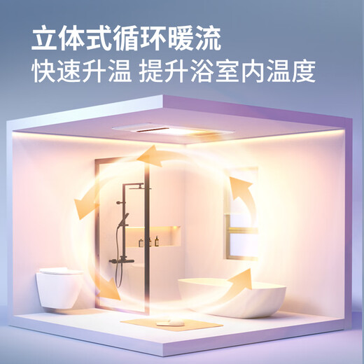 奥克斯（AUX）风暖浴霸灯暖照明排气一体集成吊顶300x600卫生间浴室式暖风机