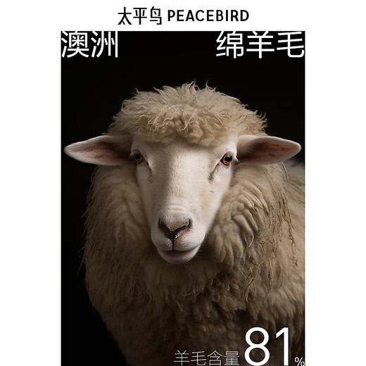 PEACEBIRD Men's Woolen Jacket Men's Winter Double-Breasted Suit Wool Short Coat Men's Gray Brown First Batch 2XL