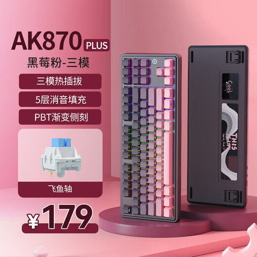 黑爵（AJAZZ）AK870PLUS三模热插拔机械键盘 Gasket结构五层填充全键热插拔RGB下灯位电竞游戏高颜值TTC烈焰红V2 渐变侧刻粉-飞鱼轴-4000mAh三模无屏