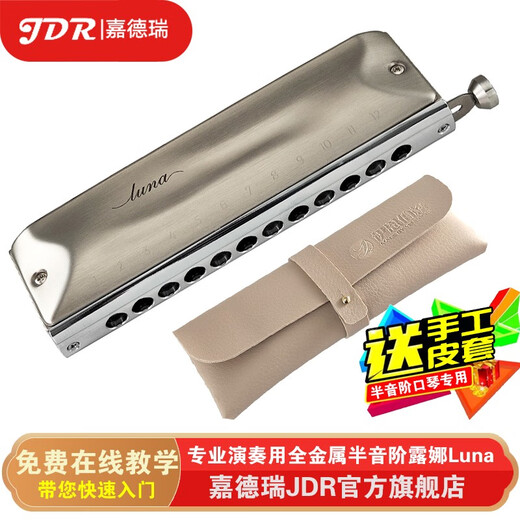 Gardry (JDR) Mondlicht Design Japaner importierter Ring Luna Luna Advanced Professional Performance 12-Loch-Chronik Harmonische 12-Loch-Grau-Bürstbedeckung