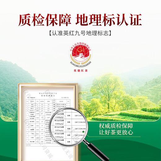 Qichun Guangdong Yingde Ancient Tree Black Tea Special Tea Yinghong No. 9 Thé printanier Mid-Automn Teacher's Souveniture Box Souveniture 250G