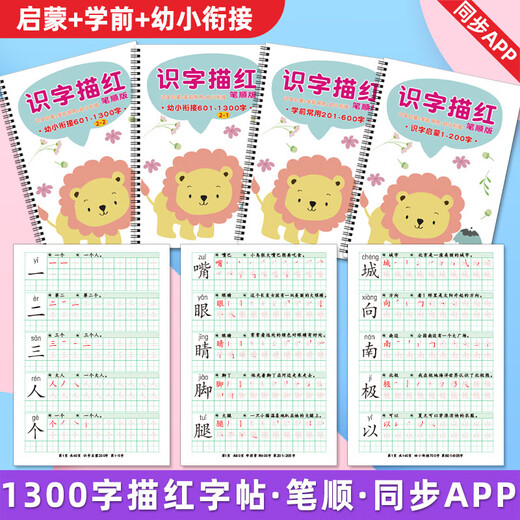 洪恩识字描红本字练字贴笔顺自制打印启蒙常用幼小衔接认字 第201-1300字 220张 分3本圈装