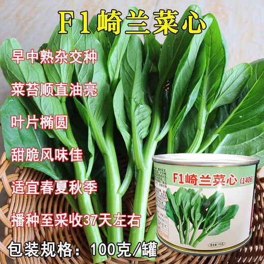 Guangzhou Qiannong Academy of Agricultural Sciences Youlu 702 cabbage heart vegetable seeds autumn winter spring high yield beet core seeds Youlu 70 days cabbage heart 200g medium mature pointed leaves 1 bag
