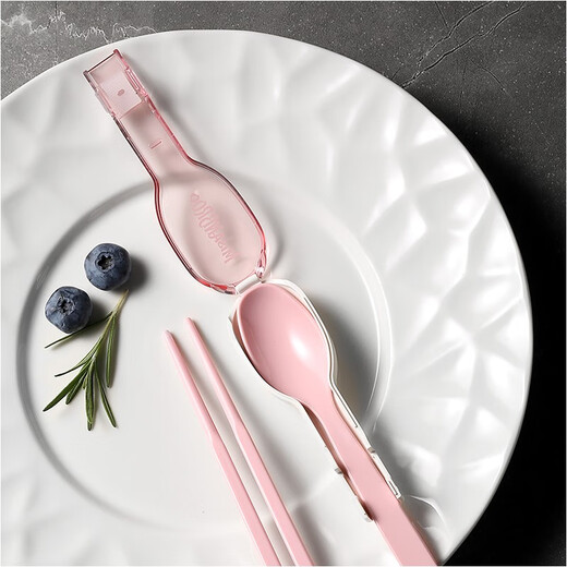 Mishanbao Portable Tableware Set Takeaway Travel Spoon Chopstick Set Student Single Pack Office Worker Storage Box Antibacterial Tableware-Xue Tao Powder