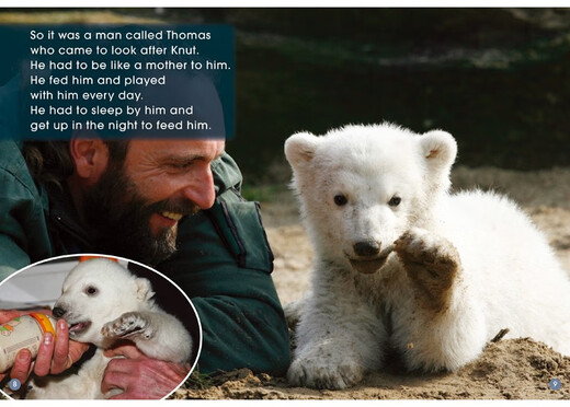 Echte vorgefertigte mehrdimensionale Lektüre (Stufe 8). 12 Bände zum Klicken verfügbar