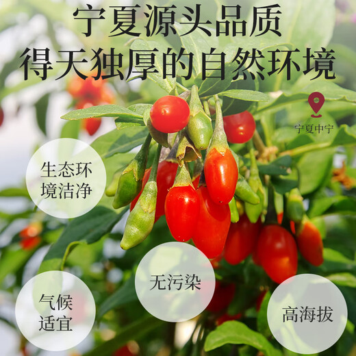 岷农人 头茬红枸杞礼盒360g节日滋补品送礼父母长辈老人养生礼物品实用
