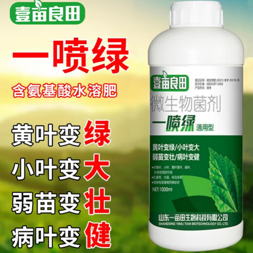 A spray of green amino acid foliar fertilizer for vegetables and fruit trees, garlic, leeks, scallions, yellow leaves turn green, agricultural water-soluble fertilizer 1000ml