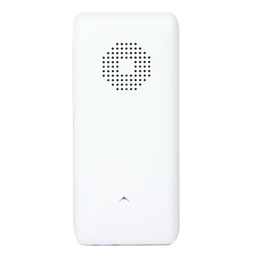Dier (2025 edition new textbook) D39 new repeater Bluetooth English listening learning synchronization for primary, middle and high school students 60 white D39-128G+ Bluetooth headset