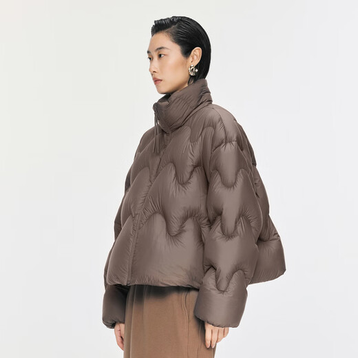 江南布衣（JNBY）【波朗尼】秋冬新品羽绒服女立领波浪设计短款休闲宽松5O0C12350 209/深棕 XS