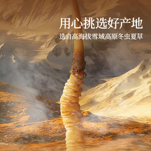 同仁堂品牌西藏野生冬虫夏草约5根/g6g约30根北京同仁堂端午节礼物礼品