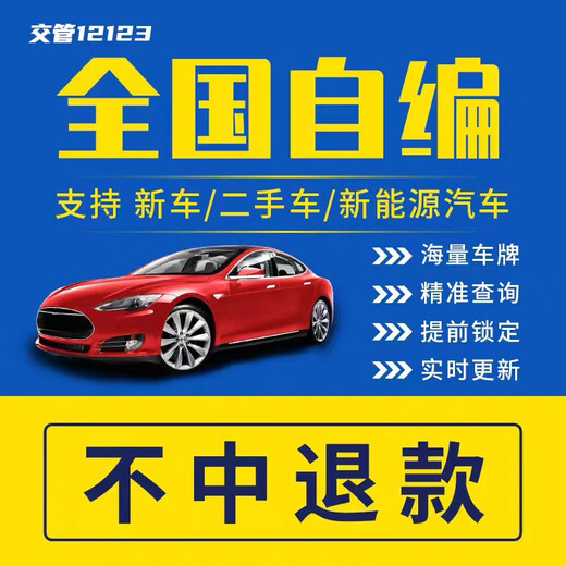 全国车牌选号自编自选上海广州成都杭州新能源汽车12123数据库 乳白色 新能源-精选