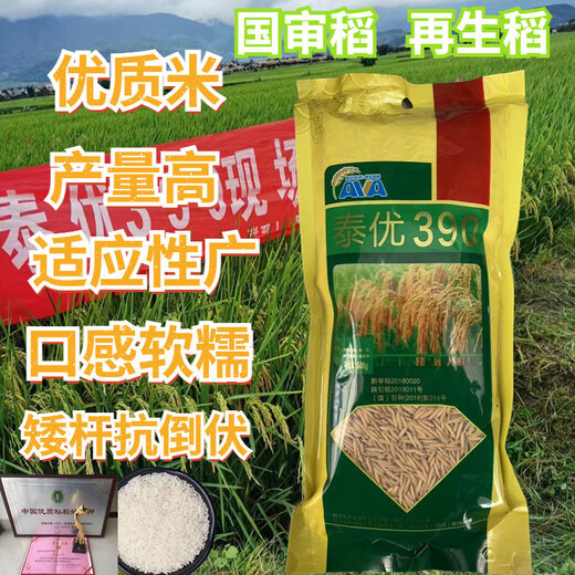 Fragrant rice type rice seeds with slender grains, Taiyou 390, short stems, lodging resistance, wide adaptability and high yield. Taiyou 390 rice seeds 1 Jin Jin equals 0.5 kg.