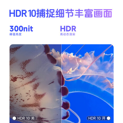 AOC显示器 IPS电脑显示屏幕 旋转升降 办公学习护眼低蓝光 台式拓展笔记本外接扩展屏23.8英寸24P10Q